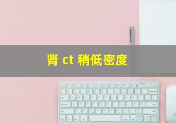 肾 ct 稍低密度